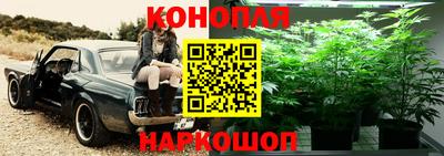 скорость Новодвинск